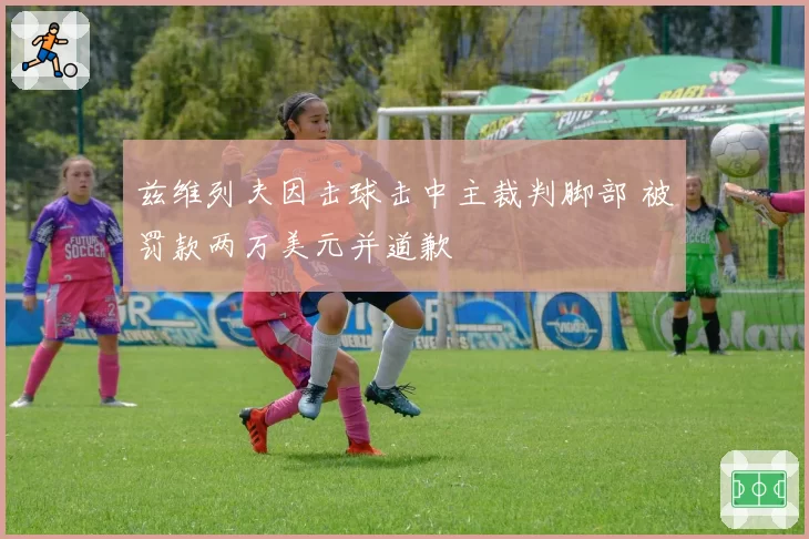 兹维列夫因击球击中主裁判脚部 被罚款两万美元并道歉