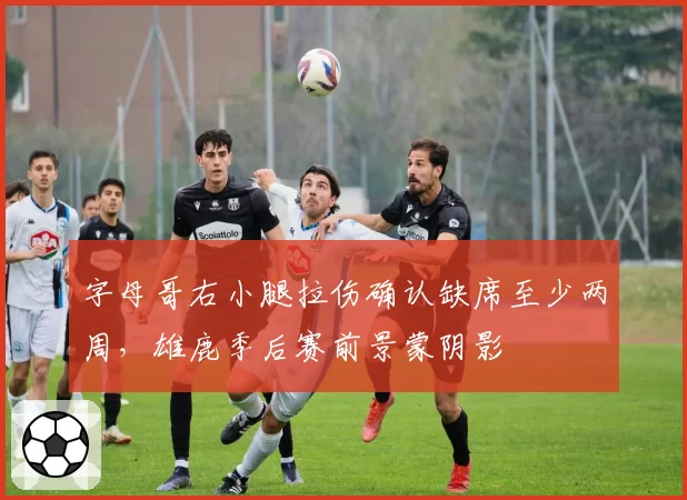字母哥右小腿拉伤确认缺席至少两周,雄鹿季后赛前景蒙阴影
