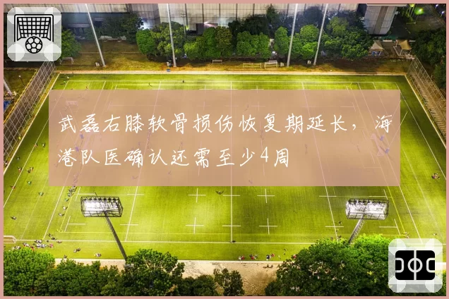 武磊右膝软骨损伤恢复期延长，海港队医确认还需至少4周
